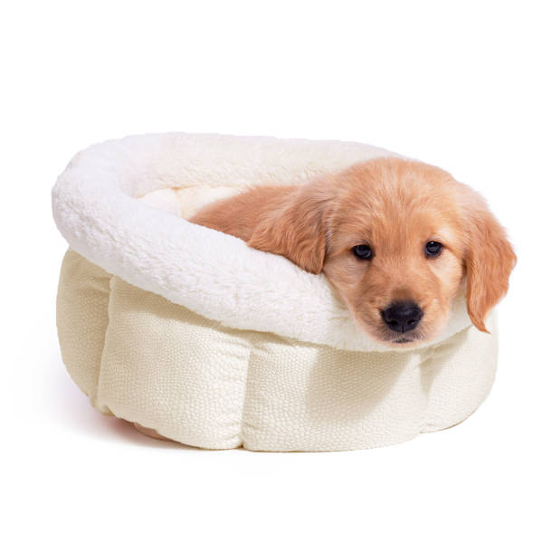 Best Friends By Sheri Ilan Best Friends by Sheri Convertible